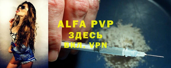 mdpv Богородск