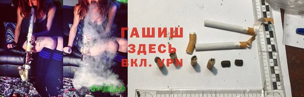 mdpv Богородск