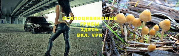 каннабис Богородицк