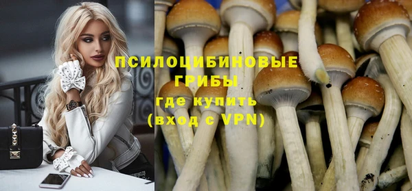 каннабис Богородицк