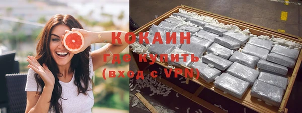 mdpv Богородск