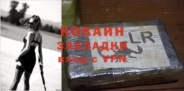 mdpv Богородск