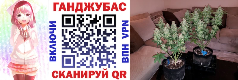 как найти наркотики  Новое Девяткино  Канабис Bruce Banner 